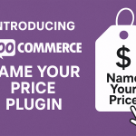 Introducing WooCommerce Name Your Price Plugin