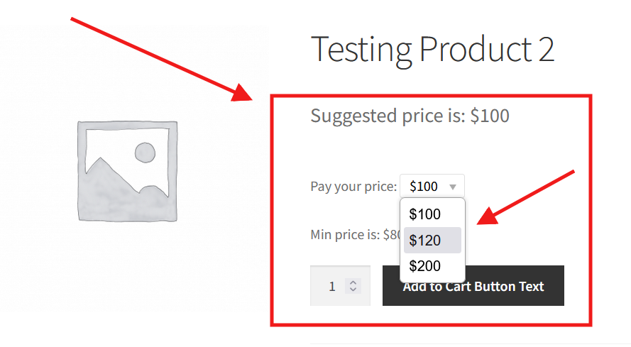 WooCommerce Name Your Price – Custom Pay Your Price Plugin - Front End